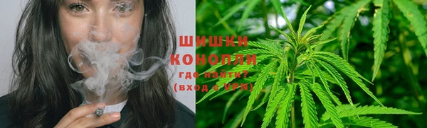 амф Верея