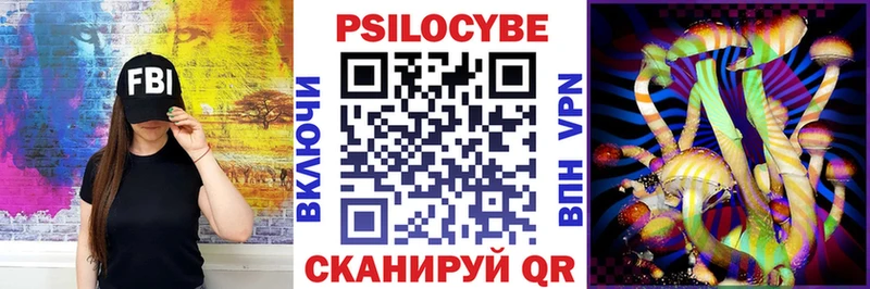 Галлюциногенные грибы Psilocybine cubensis  Курск 